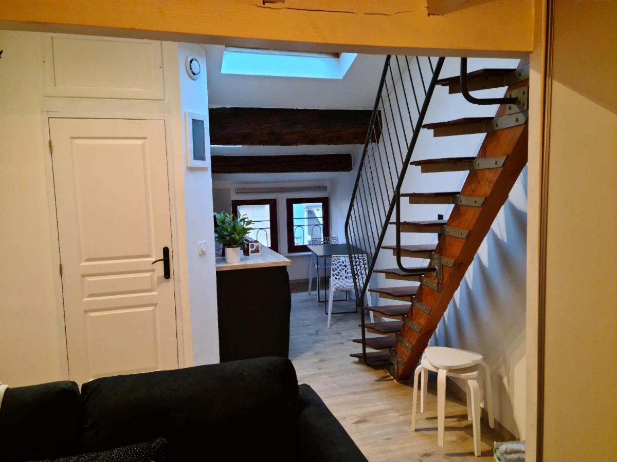 Le Studio D'Emma Lägenhet Romans-sur-Isère Exteriör bild