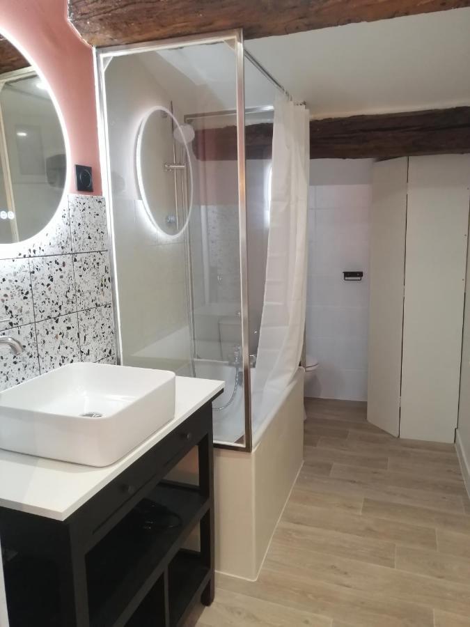 Le Studio D'Emma Lägenhet Romans-sur-Isère Exteriör bild